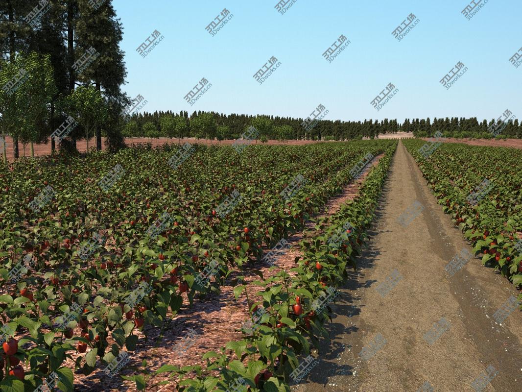 images/goods_img/2021040231/XfrogPlants Volume 2/4.jpg